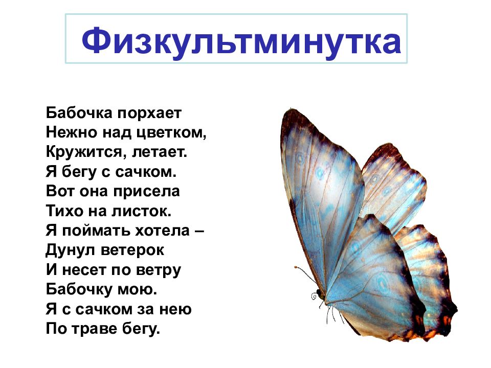 Словно бабочек легкая. Порхающие бабочки. Бабочка порхает над цветком. Бабочки порхают стихи. Стихи на тему бабочки порхают.