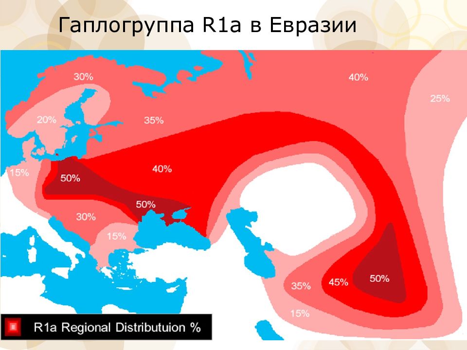 Гаплогруппа r1a. Распространение гаплогруппы r1a в мире. Гаплогруппа славян r1a1. Карта распространения гаплогруппы r1a. Расселение гаплогруппы r1a1.