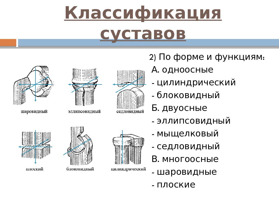 Классификация суставов