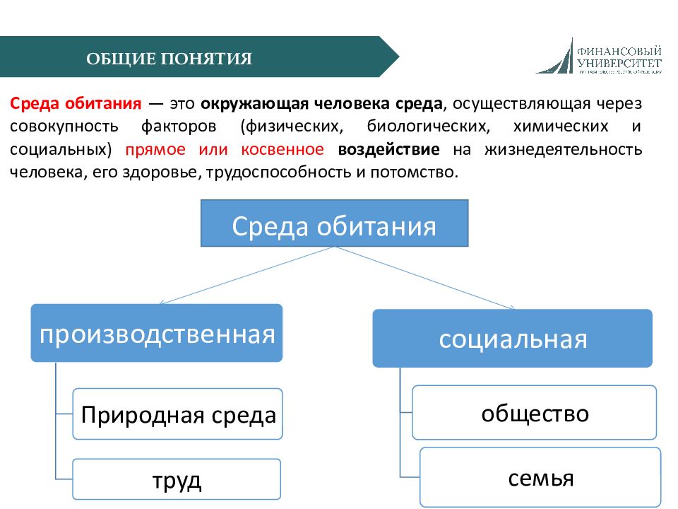 1 общее понятие. Социальная среда обитания человека. Природная и социальная среда обитания человека. Понятие среда обитания человека. Виды среды обитания человека.