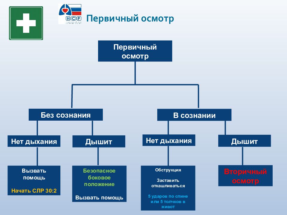 Первичный осмотр. Первичные и вторичные осмотры пациента. ITLS осмотр схема.