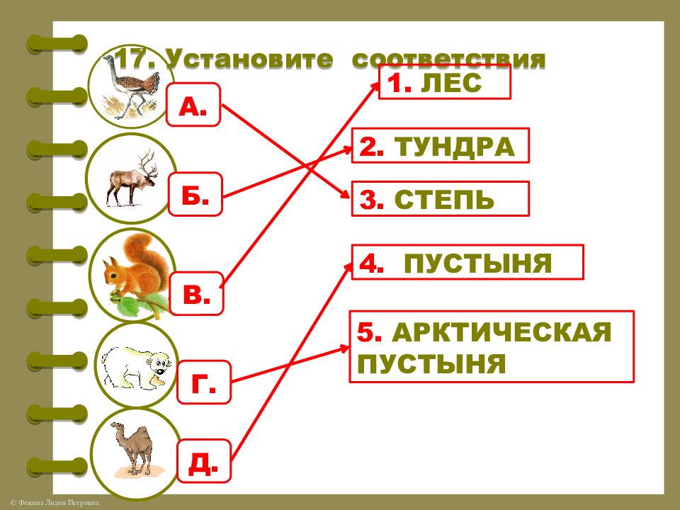 Впр в лесу охотник был как дома. ВПР зоны России 4 класс. ВПР 4 класс природные зоны задания. Природные зоны ВПР. Природные зоны 4 класс окружающий мир ВПР.