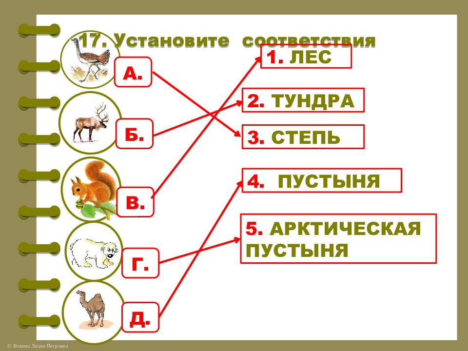 Впр 4 класс природные. ВПР 4 класс природные зоны задания. ВПР природные зоны России 4 класс окружающий мир задания. Природные зоны ВПР 4 класс окружающий. Задания из ВПР по окружающему миру 4 класс природные зоны России.