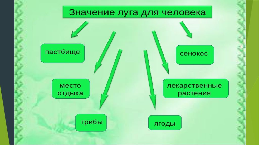 Пищевая цепочка природного сообщества луг. Схема природного сообщества. Природное сообщество луг. Природное сообщество луг 3 класс. Структура природного сообщества луг.