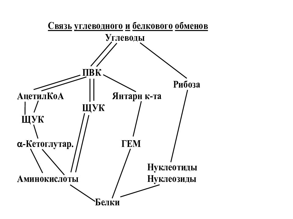 Взаимосвязь обмена углеводов и липидов. Взаимосвязь углеводного и белкового обменов. Взаимосвязь обмена углеводов и белков. Взаимосвязь углеводного липидного и белкового обменов. Взаимосвязь обмена белков и липидов.