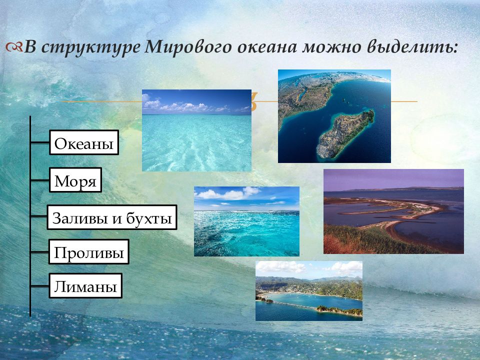 Видовой состав океана. Структура мирового океана. Структура мирового океана моря. В океанах выделяют:. Мировой океан презентация.