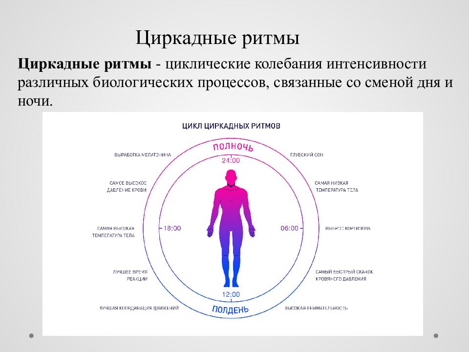 Исследовательский проект на тему : « Сон и его влияние на деятельность и
