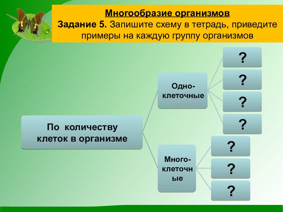 Повторение 5 класс биология презентация