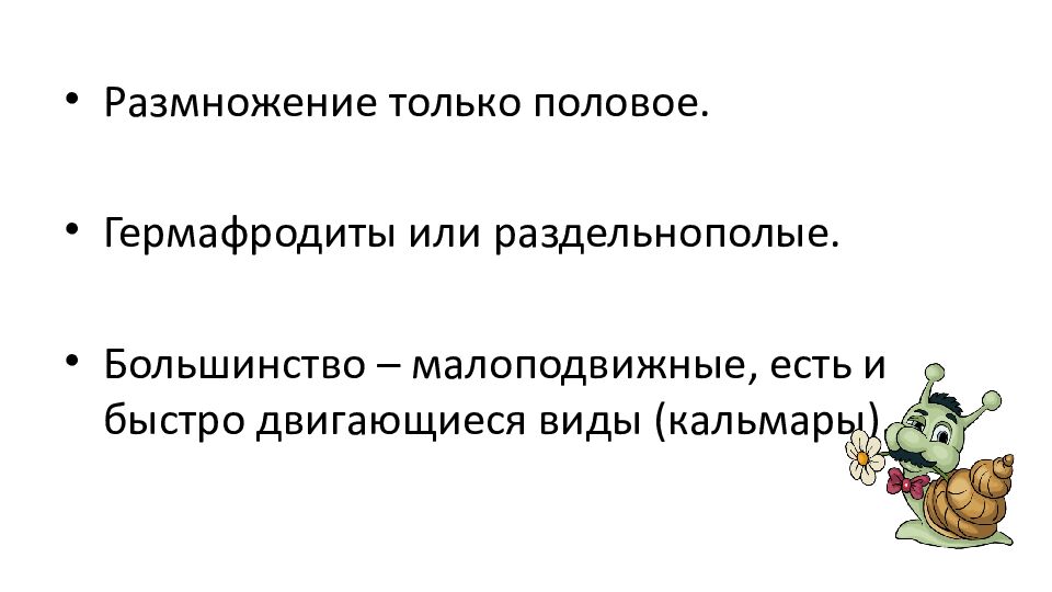 Общая характеристика типа Моллюски