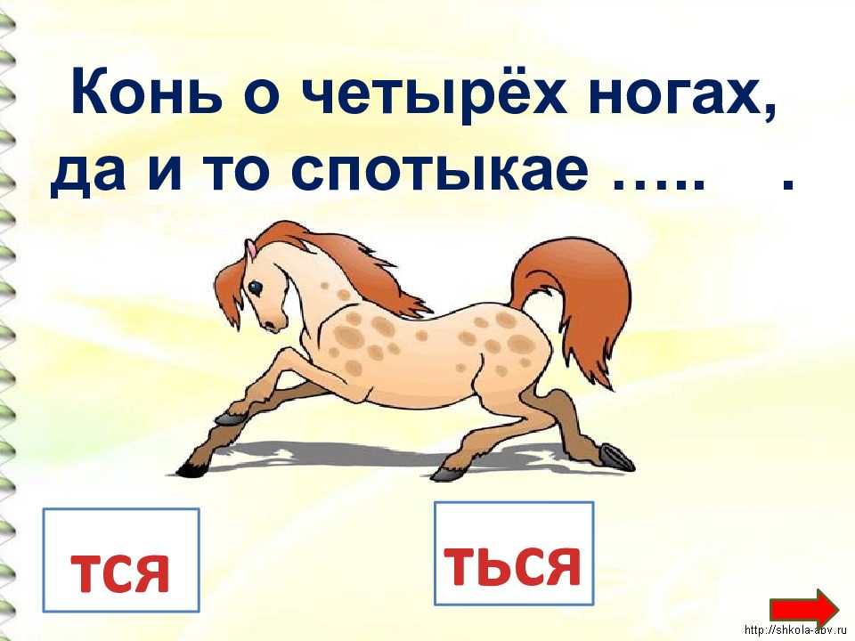 Стел тся. Конь о четырёх ногах и то спотыкается картинки. 10 Пословиц с возвратными глаголами окончанием ться.