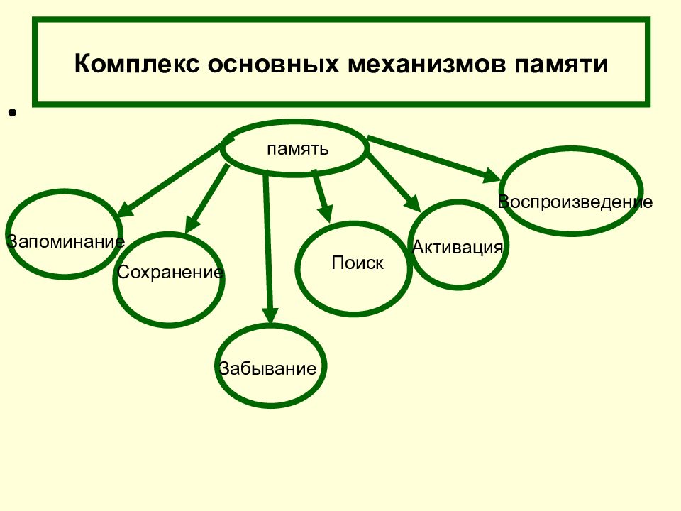 Этапы памяти. Процессы памяти схема. Механизмы памяти схема. Память механизмы процессы и виды. Процессы и механизмы памяти в психологии.