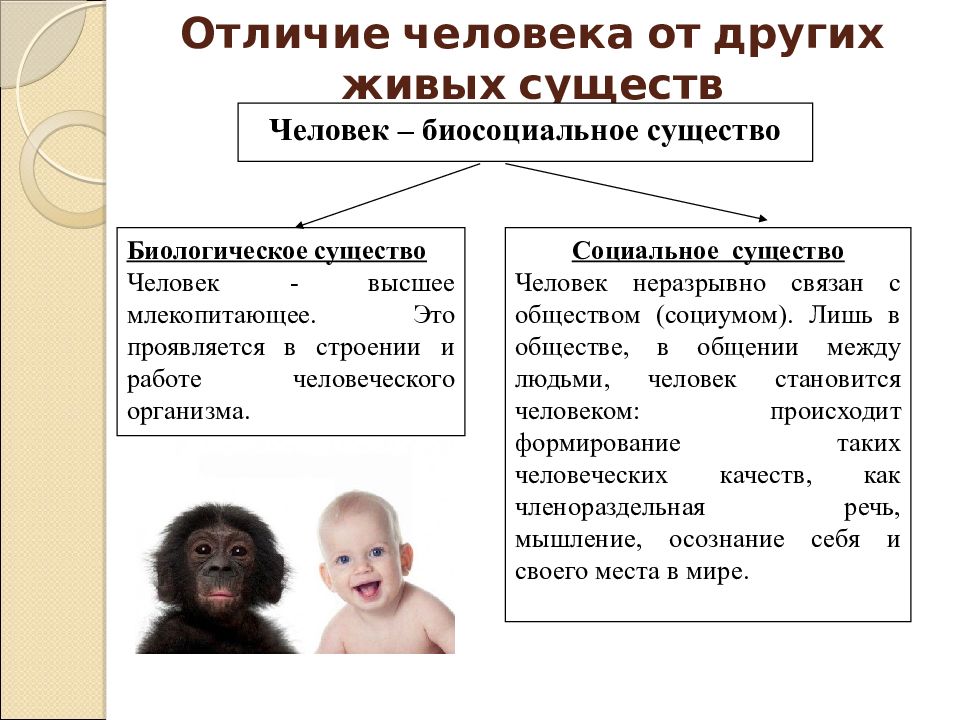 Особенность человека в мире. Человек биосоциальное существо. Отличие человека от других существ. Человек биосоциальное существо Обществознание 6 класс.