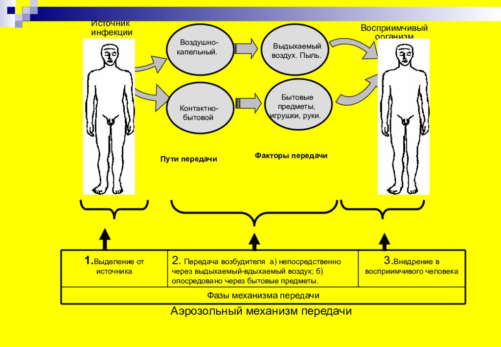 Природные факторы эпидемического процесса презентация