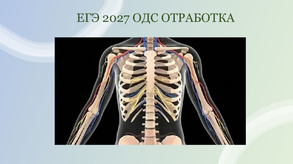 ЕГЭ 2027 ОДС ОТРАБОТКА