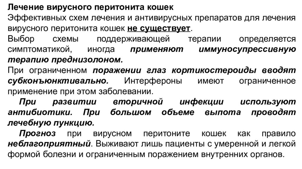 Перитонит лечится. Лечение перитонита препараты. Лекарство от вирусного перитонита кошки. Лекарство от перитонита у кошек. Перитонит антибактериальная терапия.