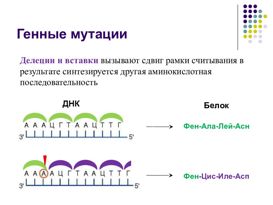 Генные мутации. Сдвиг рамки считывания в генной мутации. Что такое мутации «со сдвигом рамки генетического кода»?. Мутации со сдвигом рамки считывания. Делеция приводящая к сдвигу рамки считывания.