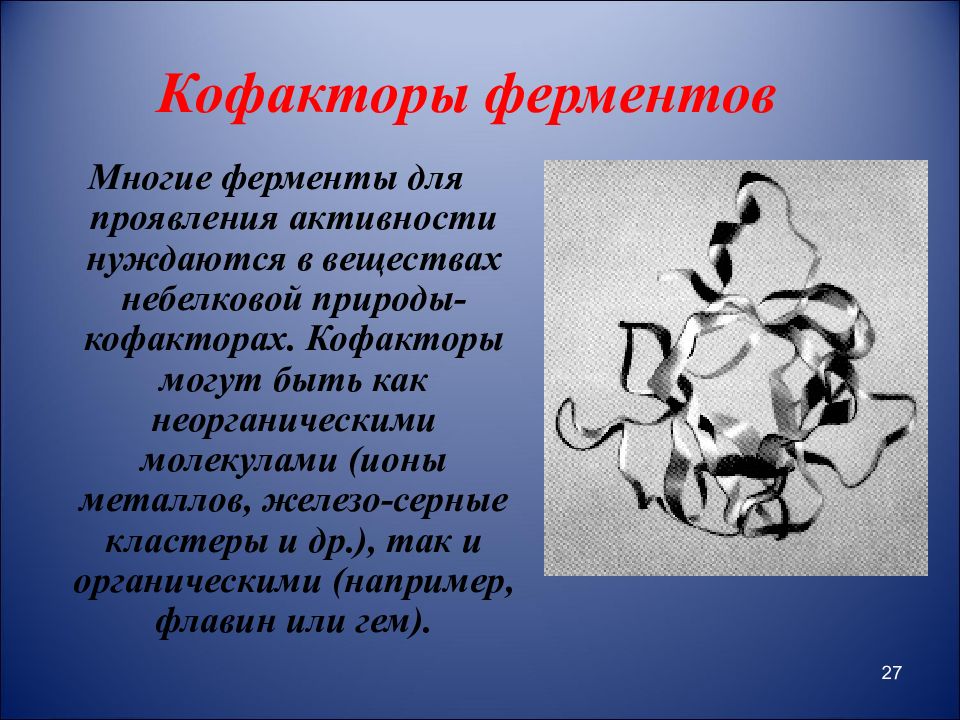 Железо в составе ферментов. Кофакторы ферментов. Кофакторы для усвоения железа. Кофактор фермента это. Железо кофактор ферментов.