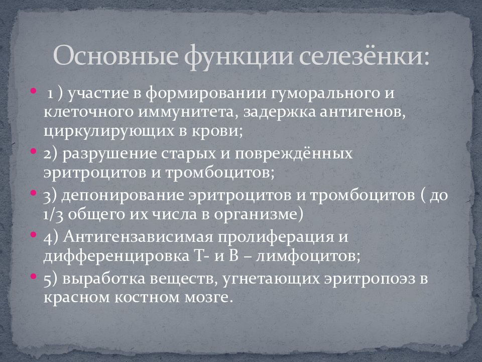 Селезенка в организме. Основные физиологические функции селезенки:. Селезенка функции в организме человека. Функции селезёнки у человека. Селезенка выполняет функц.