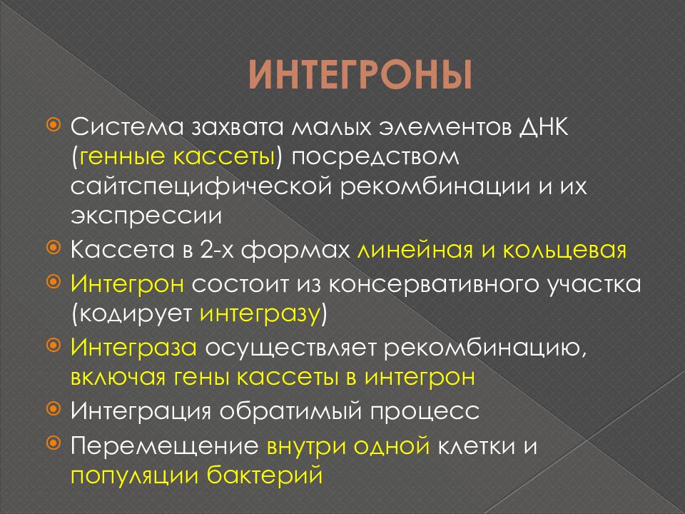 Генетика микроорганизмов презентация