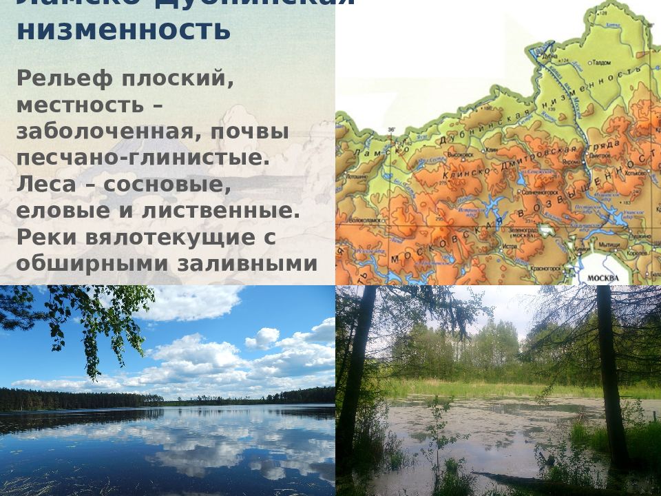 Рельеф западно сибирской равнины плоский или холмистый. Клинско-Дмитровская гряда рельеф. Плоский рельеф. Область распространения болот на Западно-сибирской равнине. Плоский рельеф равнины Западная Сибирь.