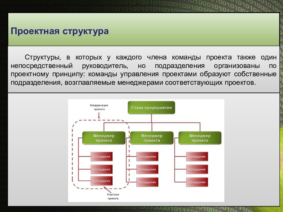 Также проектом. Структура команды проекта. Структура проектной команды. Проектная структура. Структура команды управления проектом.