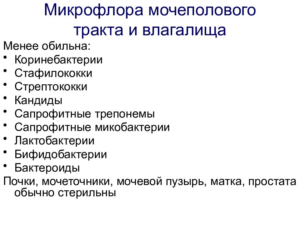 Урогенитальный тракт. Что такое сапрофитная микробиота. Сапрофитная Флора. Микрофлора мочеполовой системы.