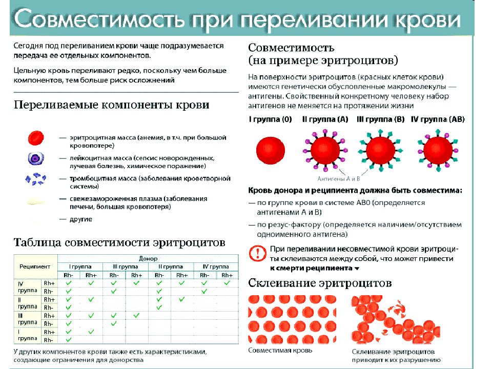 Схема переливания крови по группам и резус фактору