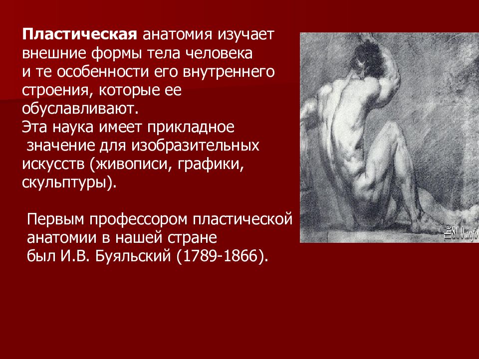 В каком классе изучают анатомию. Пластическая анатомия изучает. Введение в анатомию человека реферат. Кто изучал анатомию первый. Пластическая анатомия как изучать.