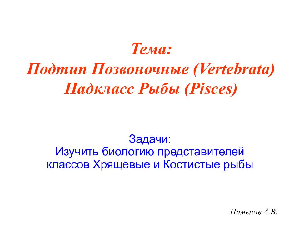Пименов А.В. Тема: Подтип Позвоночные (Vertebrata) Надкласс Рыбы