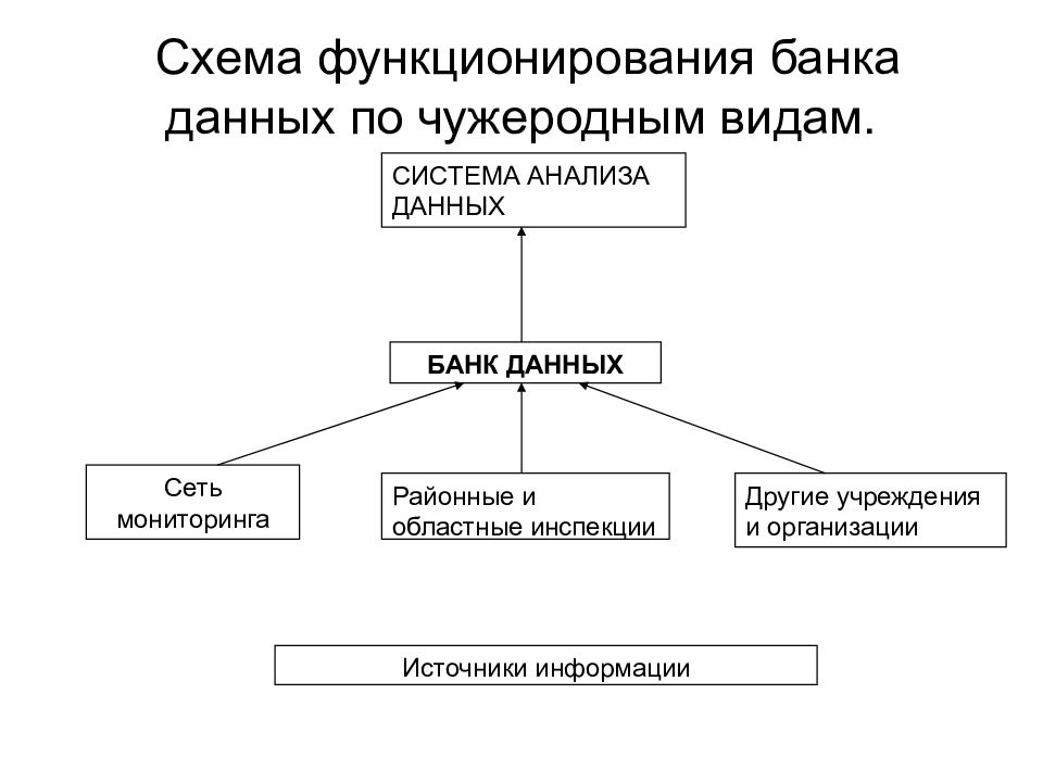 Виды банков данных. Банк данных схема. Схема банка данных. Схема функционирования банка. Схема функционирования банков данных.