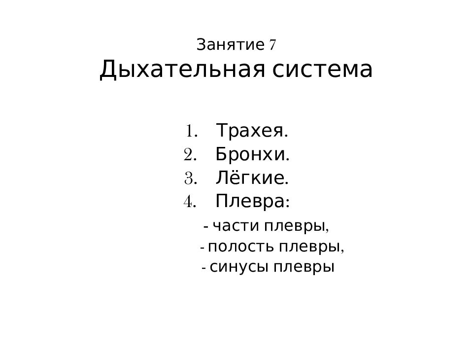 Занятие 7 Дыхательная система