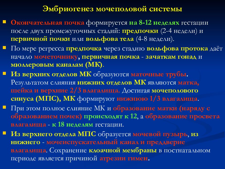 Аномалии женских половых органов презентация