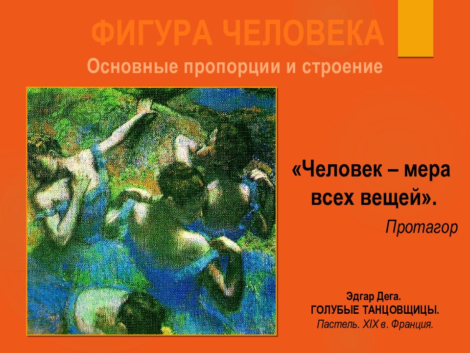ФИГУРА ЧЕЛОВЕКА Основные пропорции и строение «Человек – мера всех