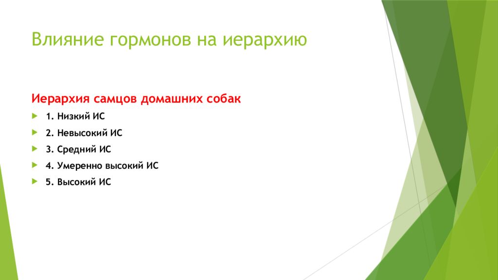 Социальная иерархия в стае