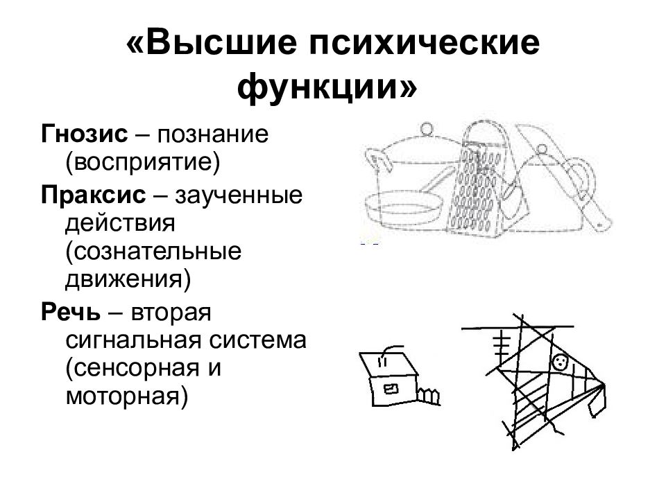 Гнозис. Модальность высших психических функций схема. Гнозис Праксис речь. ВПФ схема. Строение ВПФ.