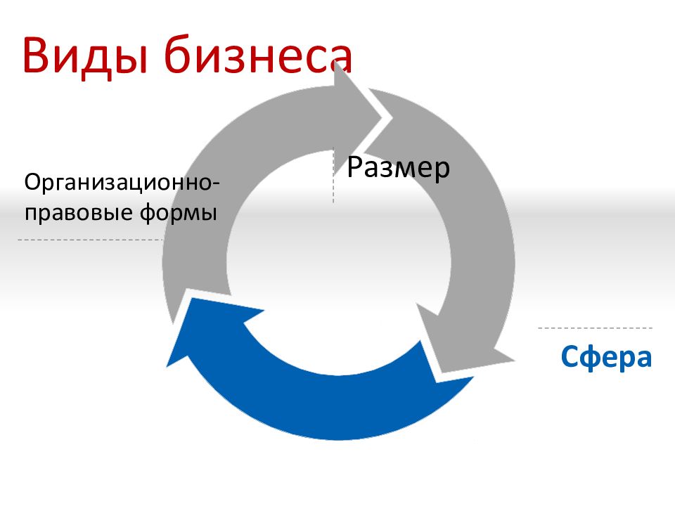 Виды бизнеса