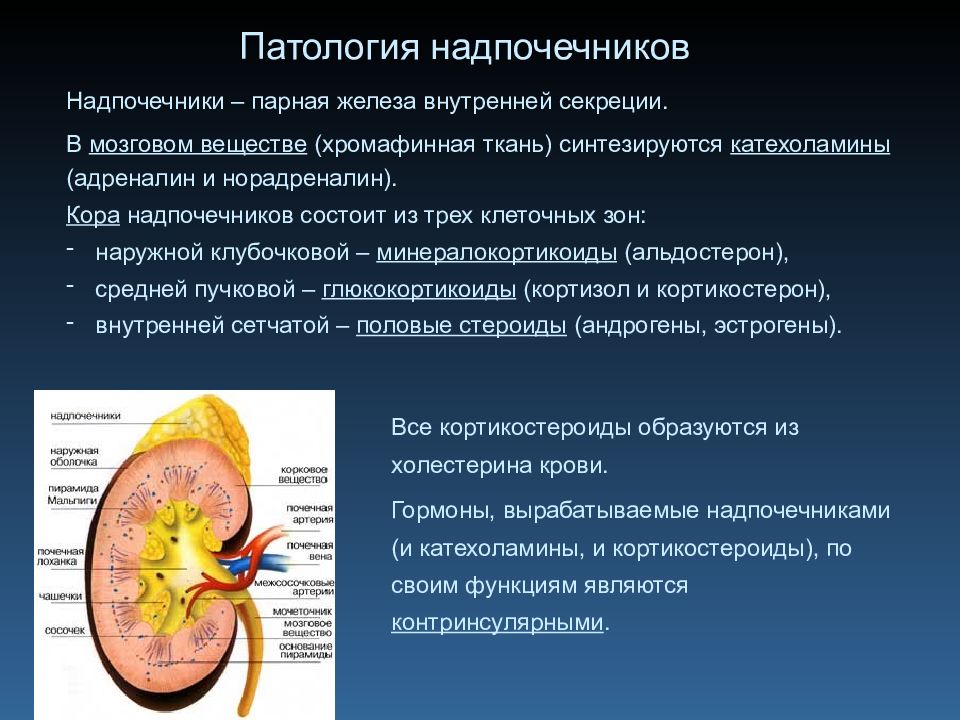 Патология надпочечников презентация