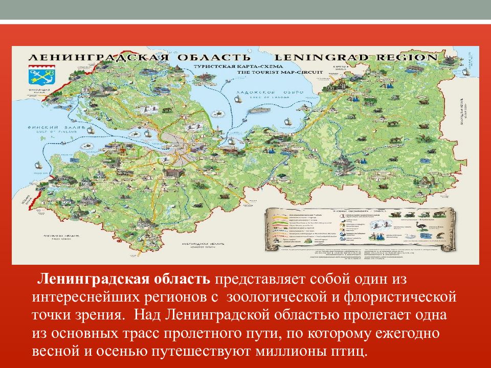 География ленинградской области презентация