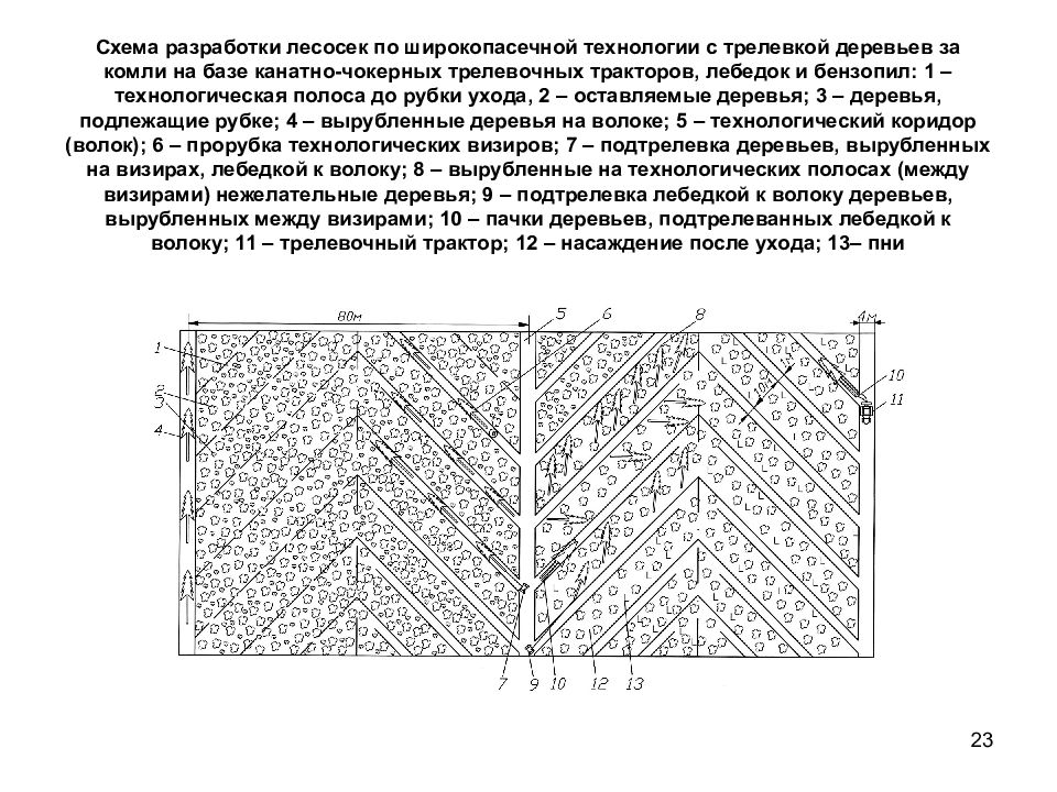 Технологическая карта на проведение рубок ухода за лесом