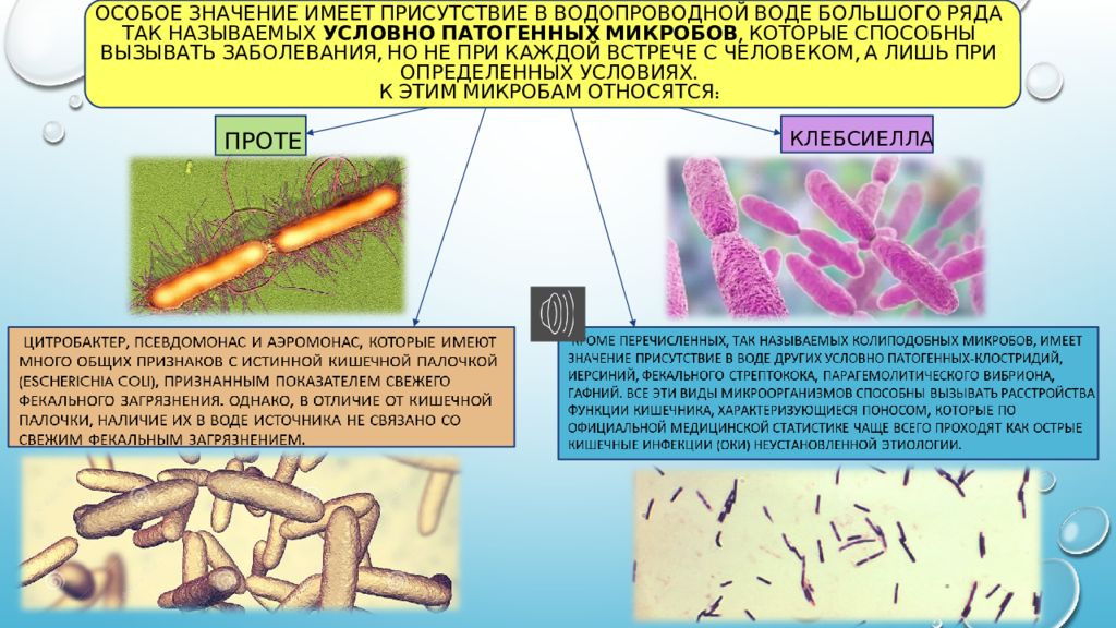 Роль воды в распространении возбудителей инфекционных заболеваний презентация
