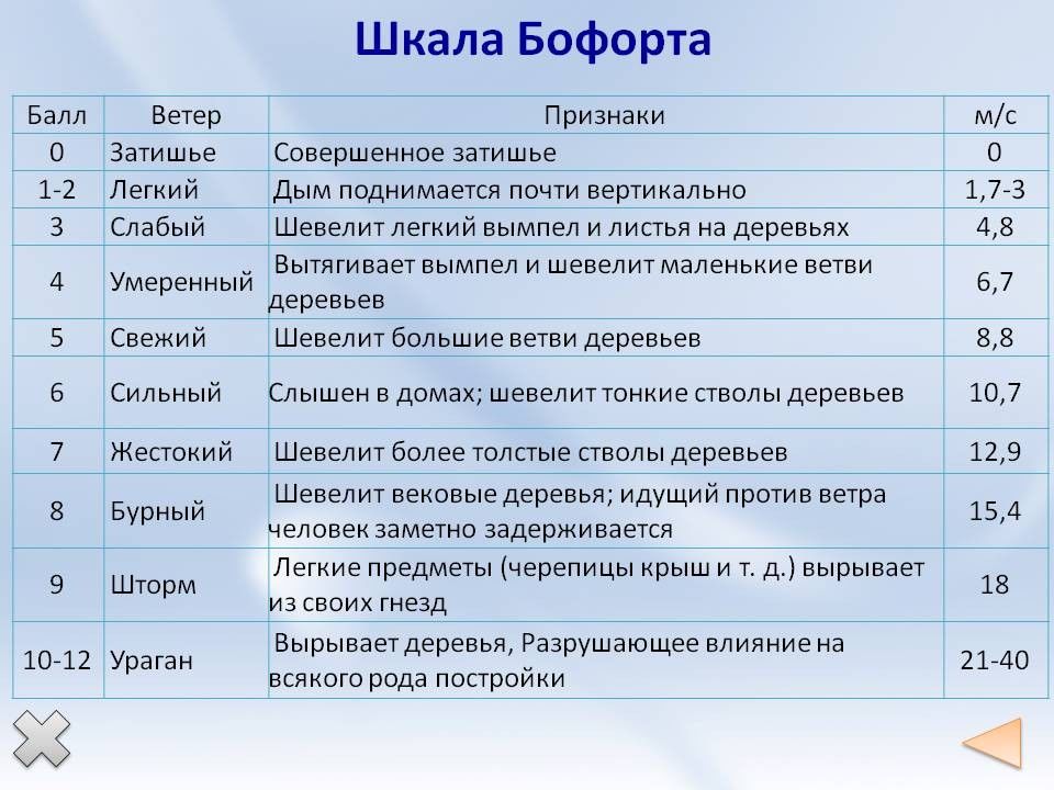 Шкала бофорта с картинками