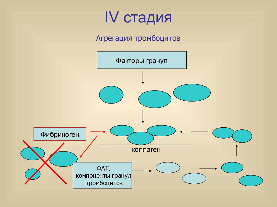 Коллаген агрегация