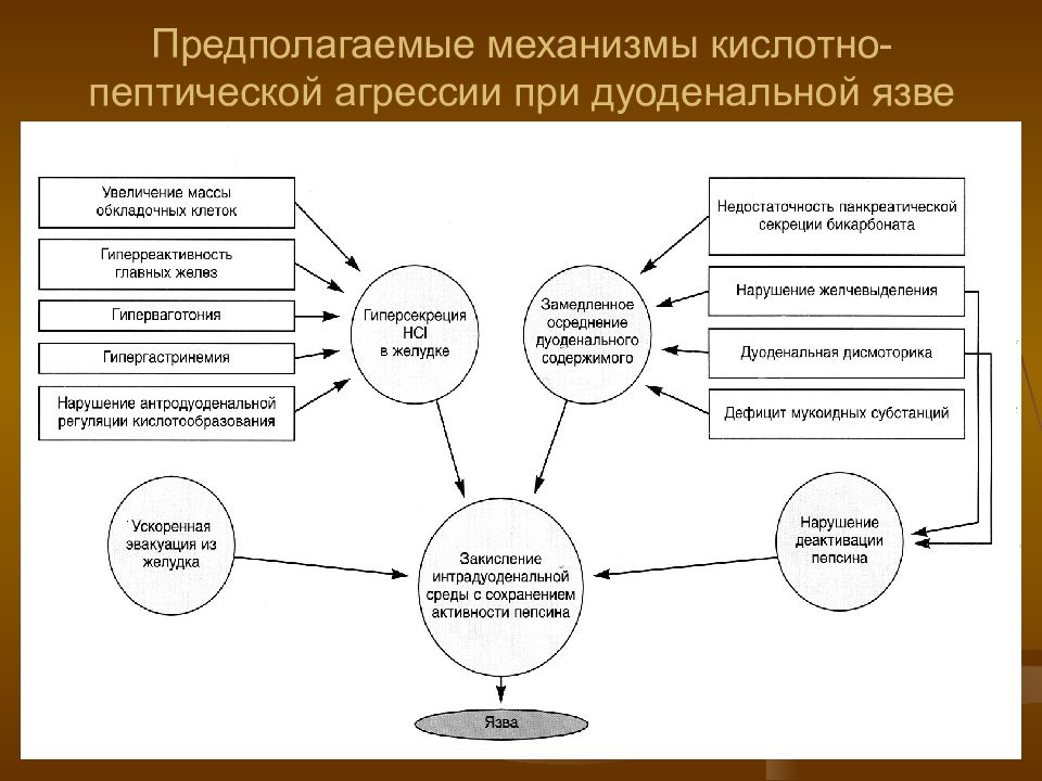 Что предполагает механизм обезличивания сдо. Кислотно пептическая агрессия. Кослотнопептическая агрессия. Механизмы пептической язвы. Механизм кислотообразования.