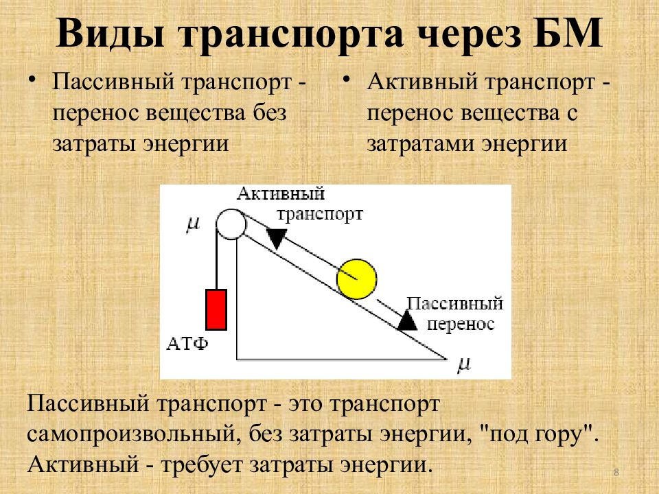 Виды переноса вещества. Перенос транспорт. Пассивный перенос веществ. Транспорт без затрат энергии. Пассивный перенос веществ без затрат энергии.