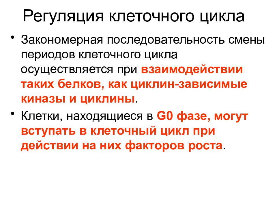 Цикл регуляции. Механизм регуляции клеточного цикла. Как осуществляется регуляция клеточного цикла. Клеточный цикл регуляция клеточного цикла. Точки регуляции клеточного деления.