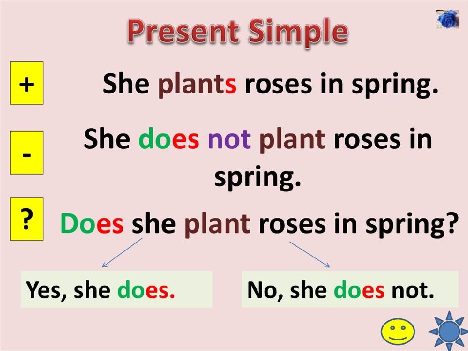 Present simple 2 ответы. Present simple did правило. Present simple настоящее простое правило. Present simple Elementary Rules. Present simple правило 7 класс.