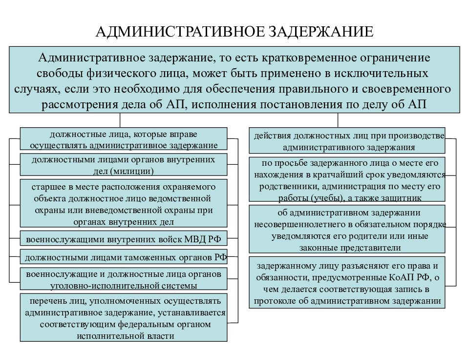 Протоколы о применении мер обеспечения производства образец