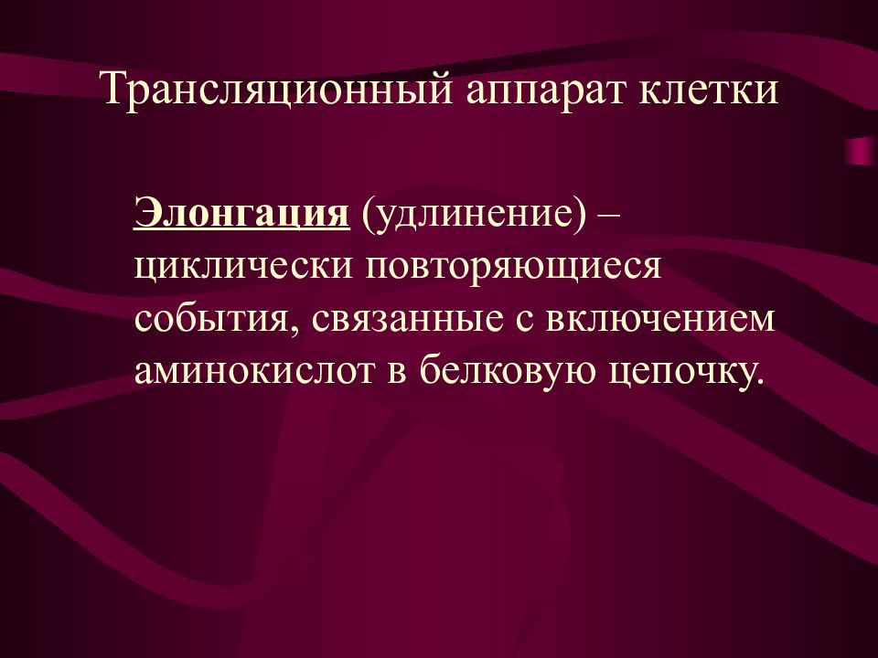 Циклически повторяющиеся. Трансляционный аппарат клетки. Трансляционный аппарат клетки. Билет.