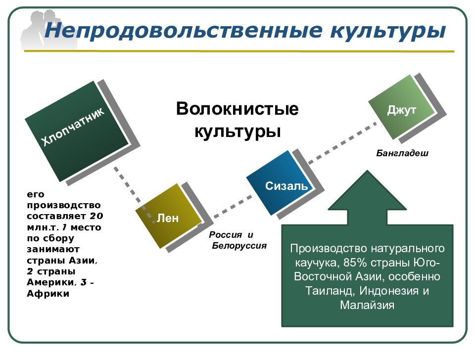 3 составляющие производства. Волокнистые культуры страны Лидеры. Непродовольственные культуры страны Лидеры. Непродовольственные сельскохозяйственные культуры. Волокнистые непродовольственные культуры мировой.