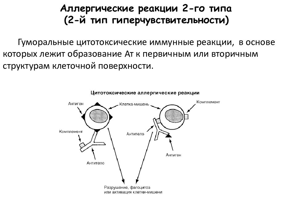 Реакции гиперчувствительности схемы